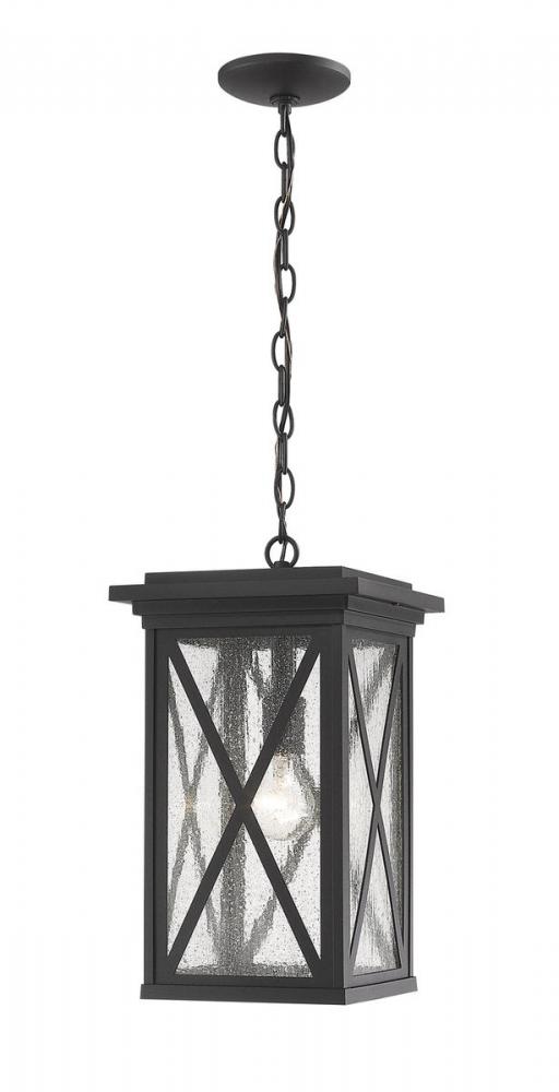 1 Light Outdoor Chain Mount Ceiling Fixture