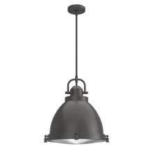 Hunter 19100 - Hunter Bridgemoor Noble Bronze with Clear Holophane Glass 3 Light Pendant Ceiling Light Fixture